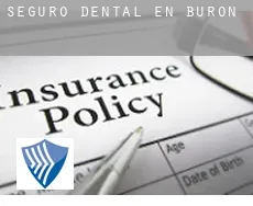 Seguro dental en  Burón