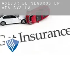 Asesor de seguros en  Atalaya (La)