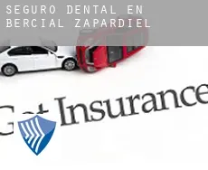 Seguro dental en  Bercial de Zapardiel