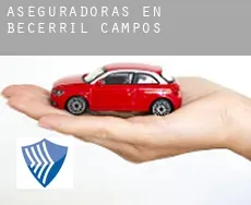 Aseguradoras en  Becerril de Campos