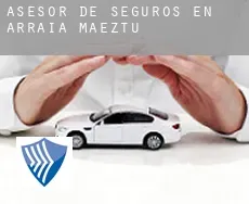 Asesor de seguros en  Arraia-Maeztu