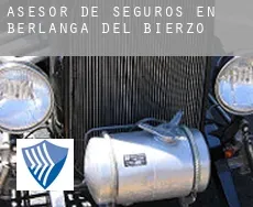 Asesor de seguros en  Berlanga del Bierzo