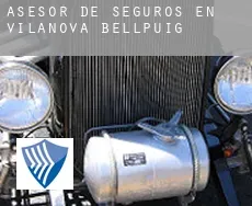 Asesor de seguros en  Vilanova de Bellpuig