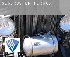 Seguros en  Firgas