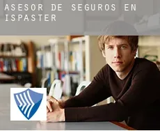 Asesor de seguros en  Ispaster