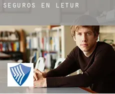 Seguros en  Letur