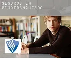 Seguros en  Pinofranqueado