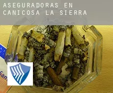 Aseguradoras en  Canicosa de la Sierra