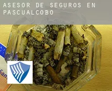 Asesor de seguros en  Pascualcobo