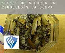 Asesor de seguros en  Riudellots de la Selva