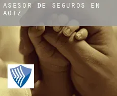 Asesor de seguros en  Aoiz