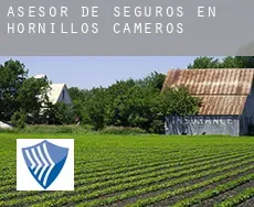 Asesor de seguros en  Hornillos de Cameros