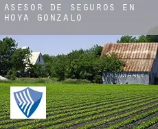 Asesor de seguros en  Hoya-Gonzalo