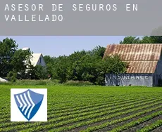 Asesor de seguros en  Vallelado