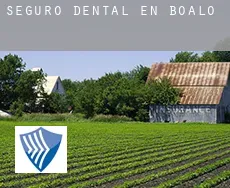 Seguro dental en  Boalo