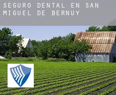 Seguro dental en  San Miguel de Bernuy