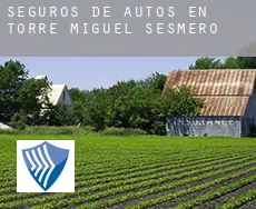 Seguros de autos en  Torre de Miguel Sesmero