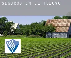 Seguros en  El Toboso