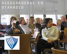 Aseguradoras en  Otxandio