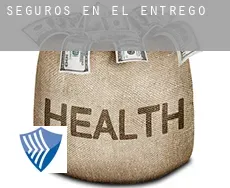 Seguros en  El entrego