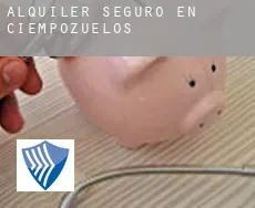 Alquiler seguro en  Ciempozuelos