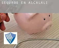 Seguros en  Alcalalí