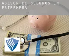 Asesor de seguros en  Estremera