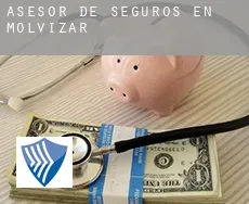 Asesor de seguros en  Molvízar