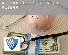 Asesor de seguros en  Pliego