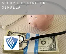 Seguro dental en  Siruela