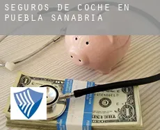 Seguros de coche en  Puebla de Sanabria