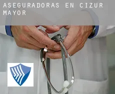 Aseguradoras en  Cizur Mayor