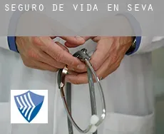 Seguro de vida en  Seva