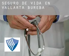 Seguro de vida en  Vallarta de Bureba