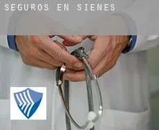 Seguros en  Sienes