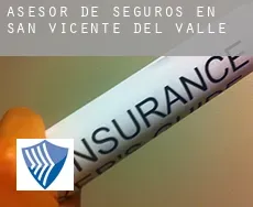 Asesor de seguros en  San Vicente del Valle