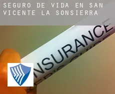 Seguro de vida en  San Vicente de la Sonsierra