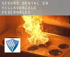 Seguro dental en  Villagonzalo-Pedernales