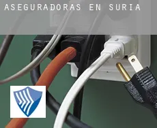 Aseguradoras en  Súria