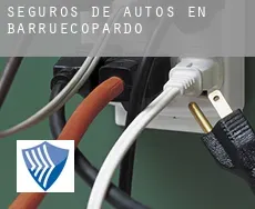 Seguros de autos en  Barruecopardo