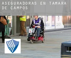 Aseguradoras en  Támara de Campos