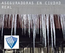 Aseguradoras en  Ciudad Real