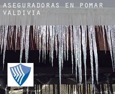 Aseguradoras en  Pomar de Valdivia