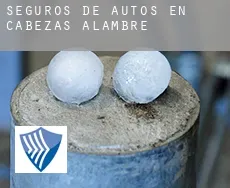 Seguros de autos en  Cabezas de Alambre