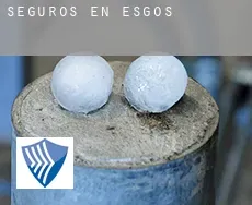 Seguros en  Esgos