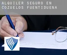 Alquiler seguro en  Cozuelos de Fuentidueña