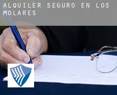 Alquiler seguro en  Los Molares