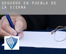 Seguros en  Puebla de la Sierra