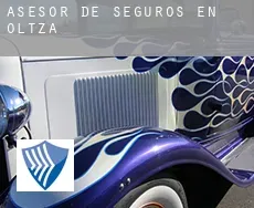 Asesor de seguros en  Oltza