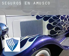 Seguros en  Amusco